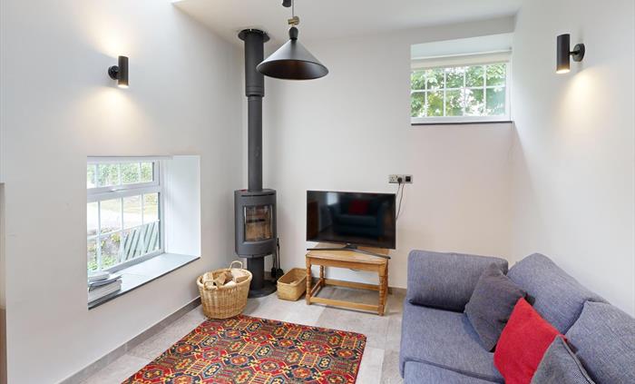 A warm living room with a wood-burning stove, flat-screen TV, and patterned rug beside a modern sofa.